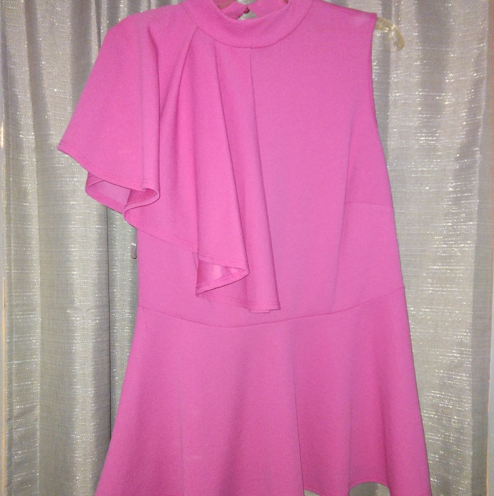 Ruffled fushia top ( Ashely Stewart )